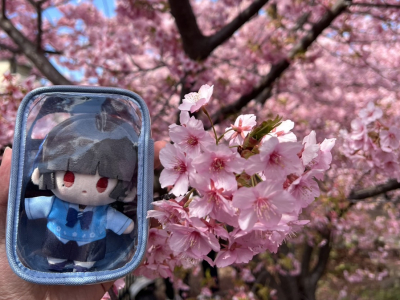 關西大學（KansaiUniversity）國際部首度接待台灣高中生團體國立花蓮高級中學34位師生日前完成一趟橫跨日本九州至關西的國際教育旅行。這場為期八天（3月7日至14日）的旅程，由楊鵬耀校長率領，帶領30位高一、高二學生走訪宮崎、熊本、神戶與大阪等地 ...(略)