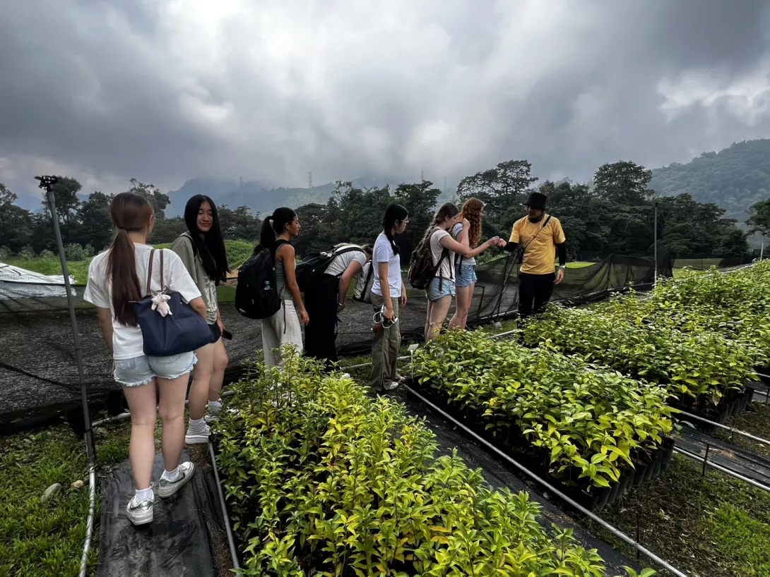 【國際交流】臺中市和平國中攜手澳洲姐妹校 寶島植樹實踐SDGs永續教育相關照片（2）