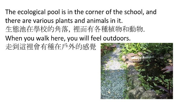 主題課程二：讓世界看見志清-小小導覽圖片